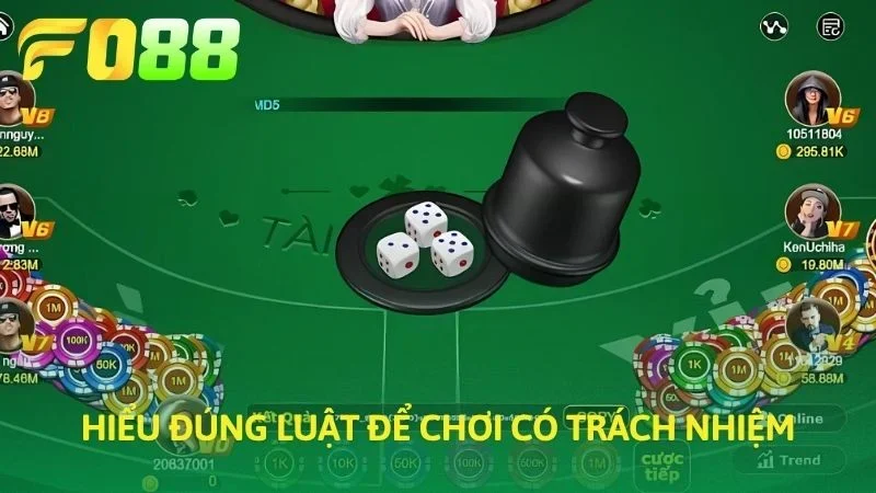 Hiểu đúng luật để tham gia có trách nhiệm