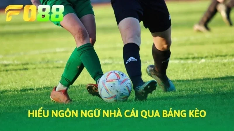 Hiểu ngôn ngữ nhà cái qua bảng tỷ lệ