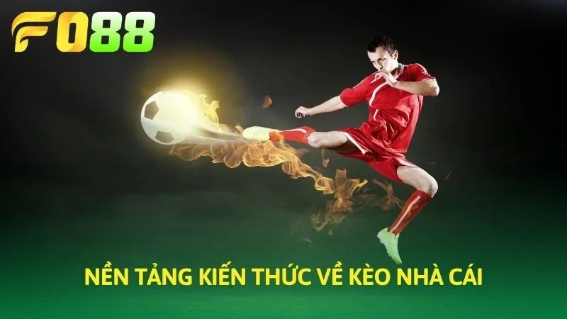 Nền tảng kiến thức về các loại cược kèo nhà cái